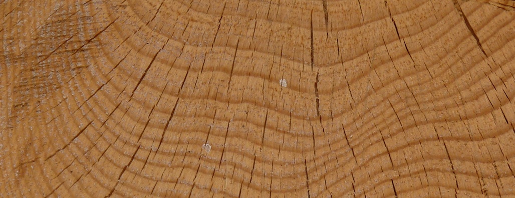 Diffusion de données nominatives associées aux images de documents  Le projet des archives départementales de Vaucluse