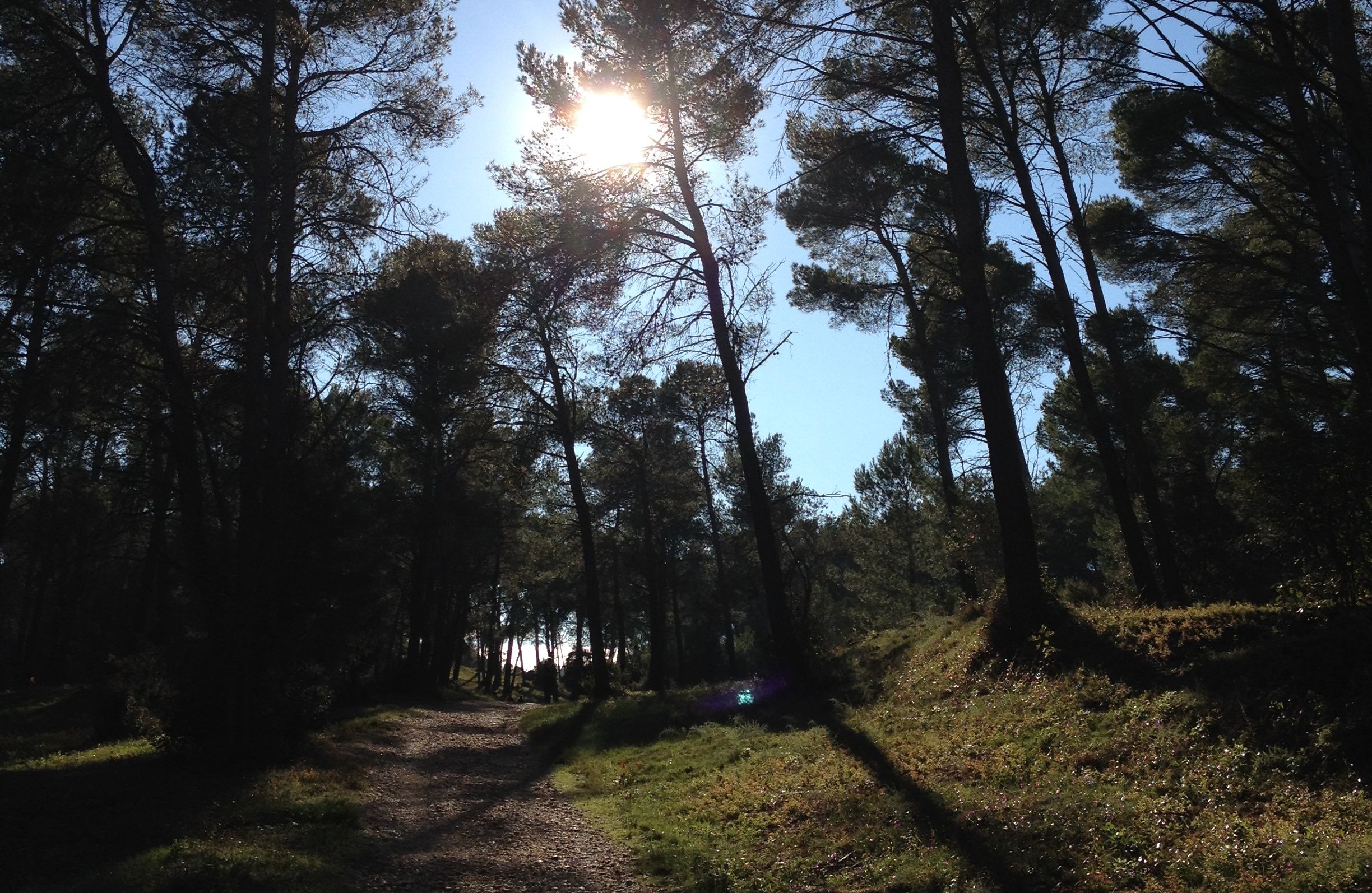 Web des données et archives – quel intérêt ?