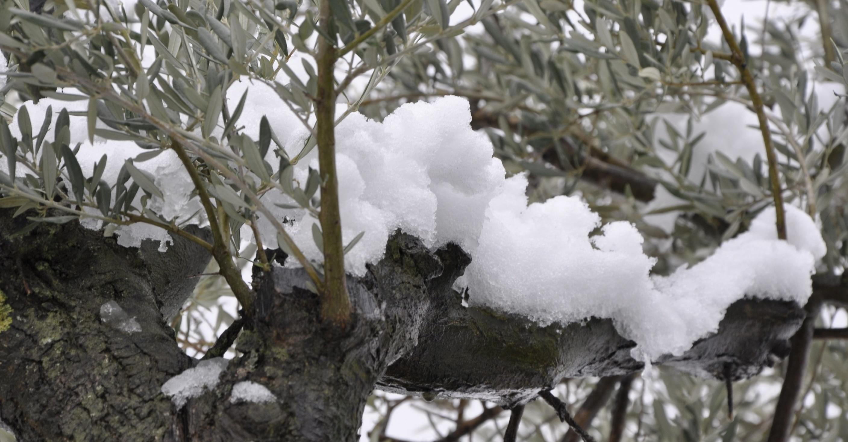 Modèle conceptuel et description archivistique ?