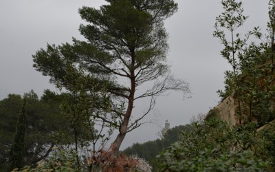 Modèle conceptuel et organisation des descriptions archivistiques