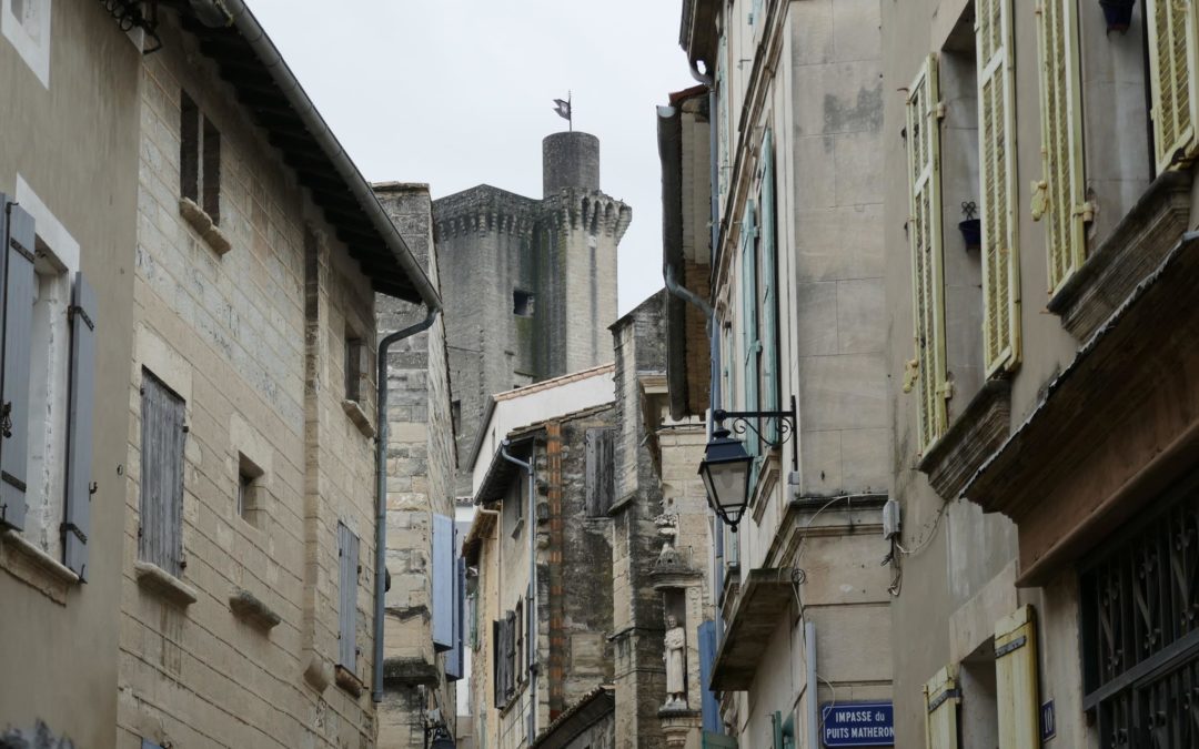 De la généalogie à l’histoire