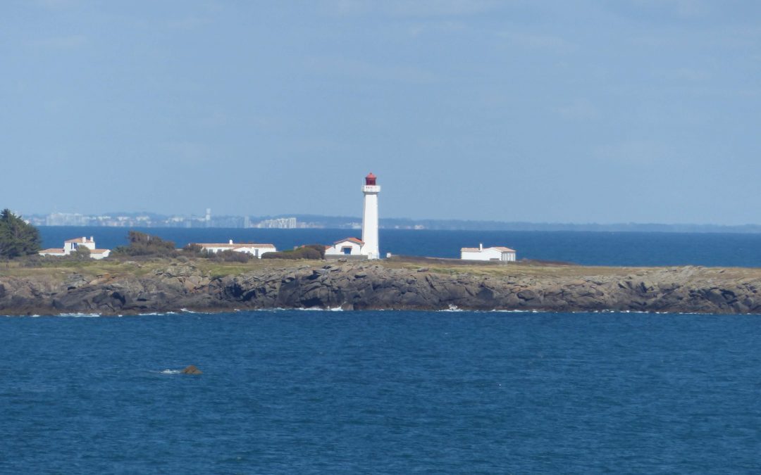 Crédit mairie de l'île d'Yeu Corbeaux